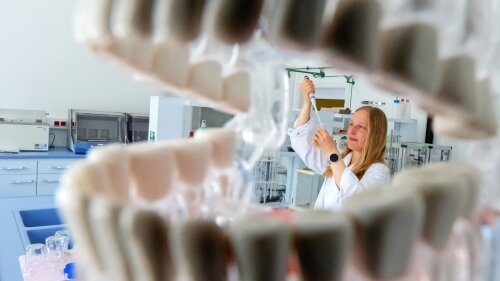 Prof. Delia S. Brauer erforscht bioaktive Gläser.