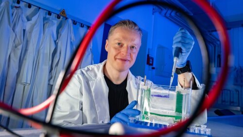 Dr. Holger Bierhoff bereitet eine Gelelektrophorese vor, um Proteine aus einem Zellextrakt nach ihrer Größe und Ladung voneinander zu trennen.