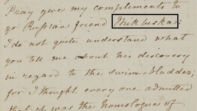 Im Briefwechsel zwischen Haeckel und Darwin wird der Kosename "Mikluska" von Haeckels Assistenten Miklucho-Maclay erwähnt.