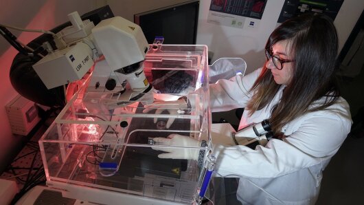 Am Zentrum für Innovationskompetenz (ZIK) Septomics untersucht Doktorandin Alessandra Marolda für das Projekt BLOODi am 13.11.2017 neutrophile Granulozyten.